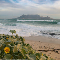 Buy canvas prints of View of Table Mountain  by Adrian Paulsen