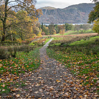 Buy canvas prints of Pastures above Aira Force, Ullswater, Cumbria by June Ross