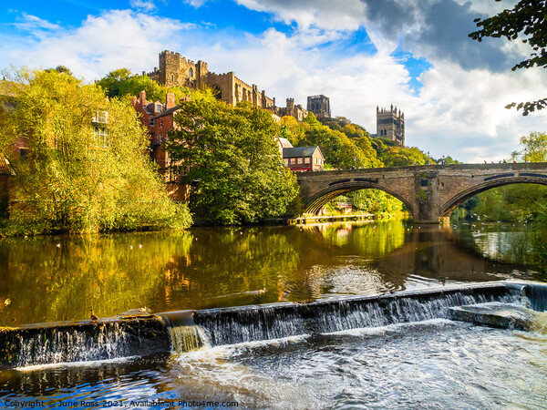 Durham Cathedral and Weir  Picture Board by June Ross