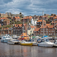 Buy canvas prints of Whitby, North Yorkshire  by June Ross