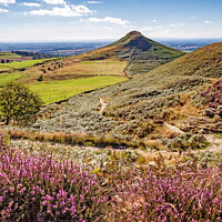Buy canvas prints of Summer at Roseberry Topping, Great Ayton, North Yorkshire by June Ross