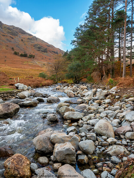 Stream near Wastwater, Lake District Picture Board by June Ross
