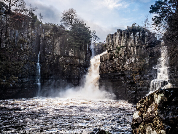 High Force Waterfall, Upper Teesdale Picture Board by June Ross