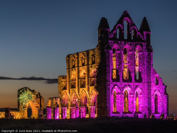 Whitby Abbey Illuminated  Picture Board by June Ross