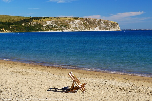 Deckchair on Swanage Beach Picture Board by Richard J. Kyte
