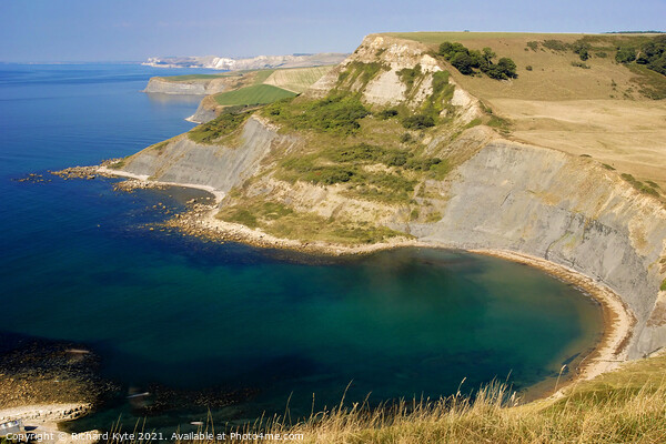Chapman's Pool, Isle of Purbeck, Dorset Picture Board by Richard J. Kyte