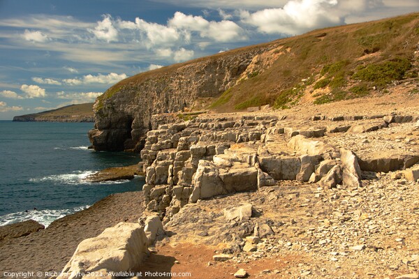Dancing Ledge, Isle of Purbeck, Dorset  Picture Board by Richard J. Kyte