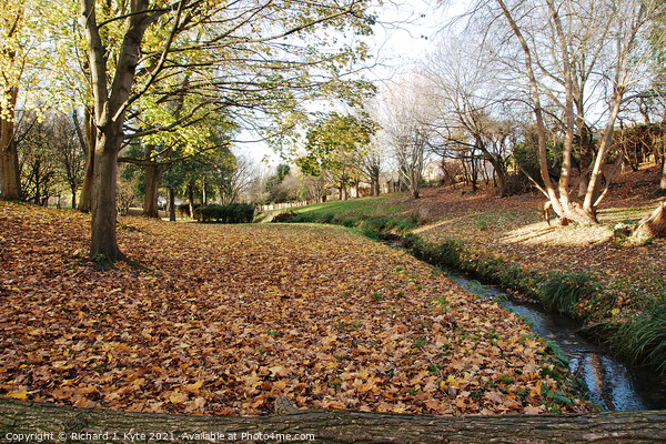 Battleton Brook, Evesham, in Autumn Picture Board by Richard J. Kyte