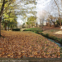 Buy canvas prints of Battleton Brook, Evesham, in Autumn by Richard J. Kyte