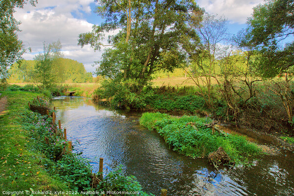 River Arrow, Warwickshire, looking north Picture Board by Richard J. Kyte