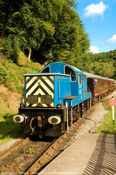 Class 14 Diesel no. 9521 approaches Norchard High Level with a Lydney-bound train, Dean Forest Railway Picture Board by Richard J. Kyte