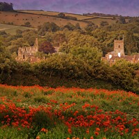 Buy canvas prints of Poppies view of a Shropshire village  by Stephen Davis