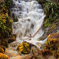 Buy canvas prints of Badger Dingle waterfall by Stephen Davis