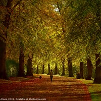 Buy canvas prints of Autumn in Shrewsbury by Stephen Davis