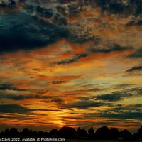 Buy canvas prints of The sky is on fire by Stephen Davis