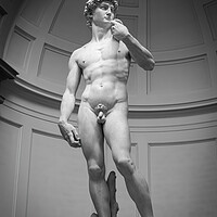 Buy canvas prints of David by Michelangelo by Alan Le Bon