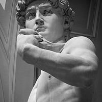 Buy canvas prints of The Statue of David by Michelangelo by Alan Le Bon