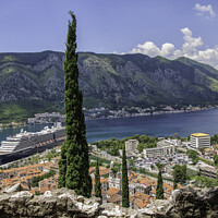 Buy canvas prints of View over Kotor by Michael Crossland