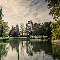 Buy canvas prints of PITTVILLE PARK LAKE IN SUMMER by Craig Ballinger