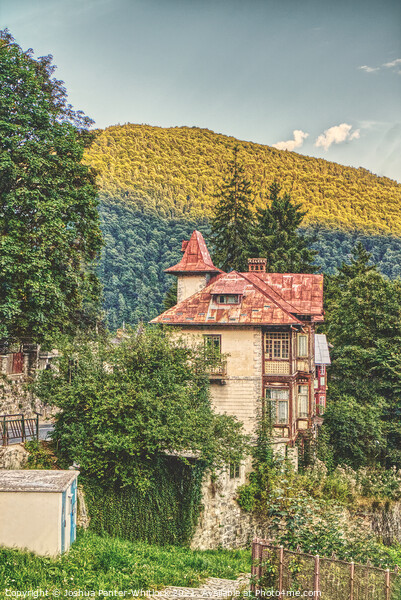 Sinaia house Picture Board by Joshua Panter-Whitlock