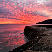 Buy canvas prints of Fiery sunset over the Cobb in Lyme Regis by Love Lyme Regis