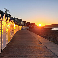 Buy canvas prints of Beach huts at sunrise in Lyme Regis by Love Lyme Regis