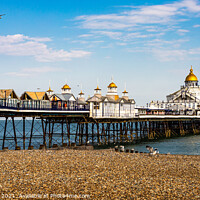 Buy canvas prints of Serenity on Eastbourne Pier by Margaret Ryan