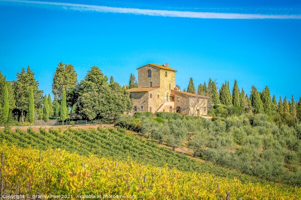 Tuscan Vineyard Picture Board by Margaret Ryan