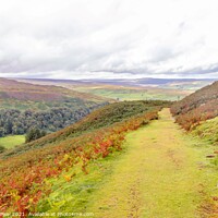 Buy canvas prints of Colours of Yorkshire by Margaret Ryan