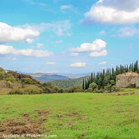 Buy canvas prints of Rolling hills of Tuscany by Margaret Ryan
