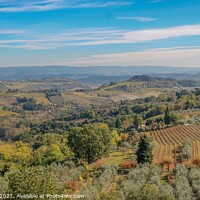 Buy canvas prints of Tuscan Countryside by Margaret Ryan