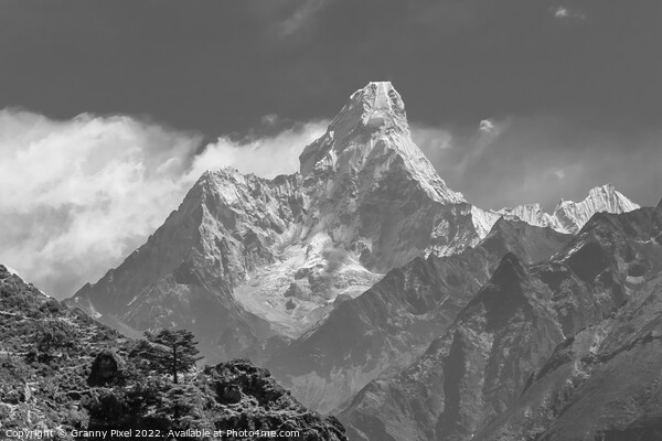 Ama Dablam  Picture Board by Margaret Ryan