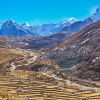Buy canvas prints of Trail to Thukla by Margaret Ryan