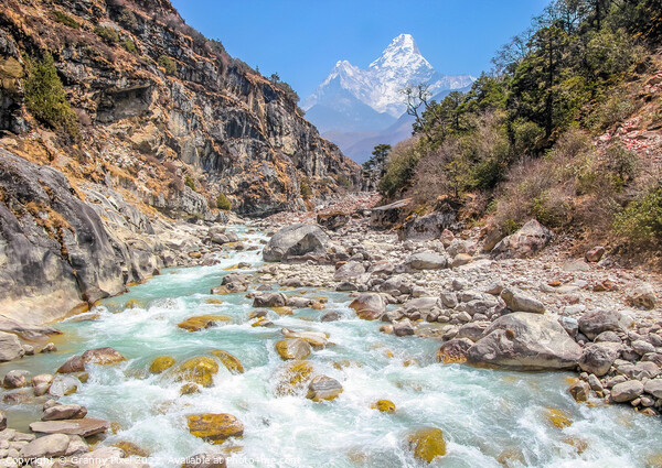 Dudh Khosi River Gorge, Himalayas Picture Board by Margaret Ryan