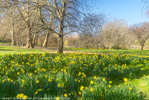 Springtime in London Picture Board by Margaret Ryan