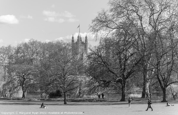 St James Royal Park London Picture Board by Margaret Ryan