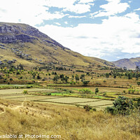 Buy canvas prints of Rural Madagascar by Margaret Ryan