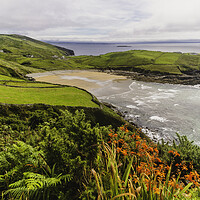 Buy canvas prints of Donegal Muckross Head by Margaret Ryan