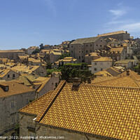 Buy canvas prints of Old town Dubrovnik by Margaret Ryan