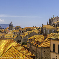 Buy canvas prints of Golden Dubrovnik by Margaret Ryan
