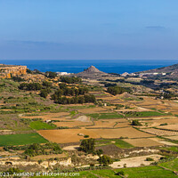 Buy canvas prints of Gozo Landscape by Margaret Ryan