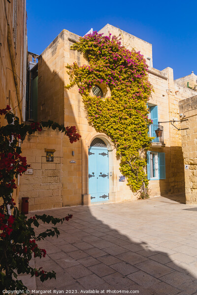 Shady backstreet of Mdina Picture Board by Margaret Ryan