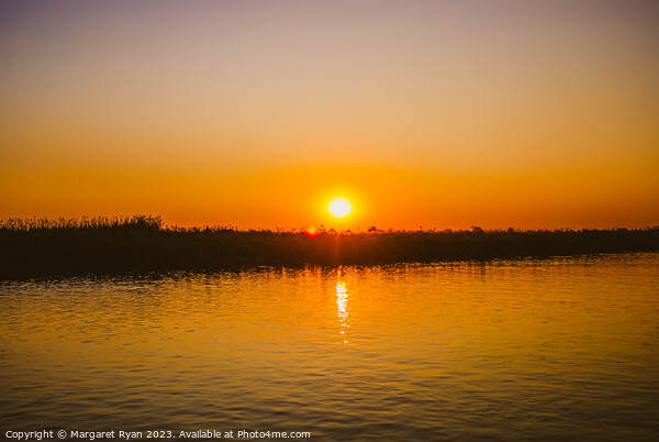 Okavango sunset Picture Board by Margaret Ryan