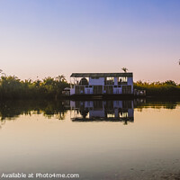 Buy canvas prints of Tranquil Journey Along The Okavango Delta. by Margaret Ryan