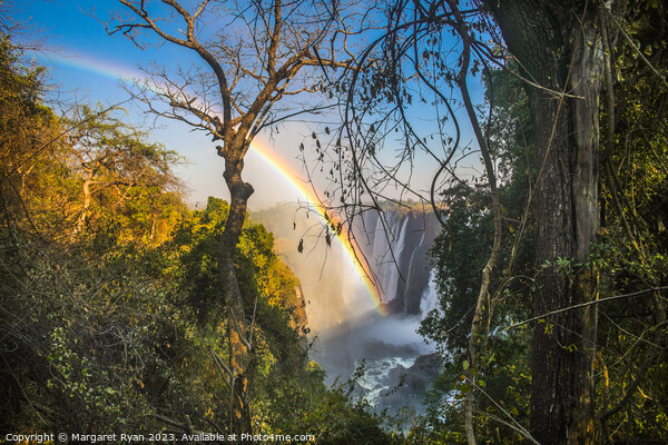 Rainbow over Victoria Falls Picture Board by Margaret Ryan