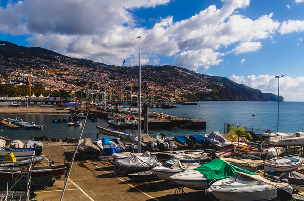 Funchal Marina  Picture Board by Margaret Ryan