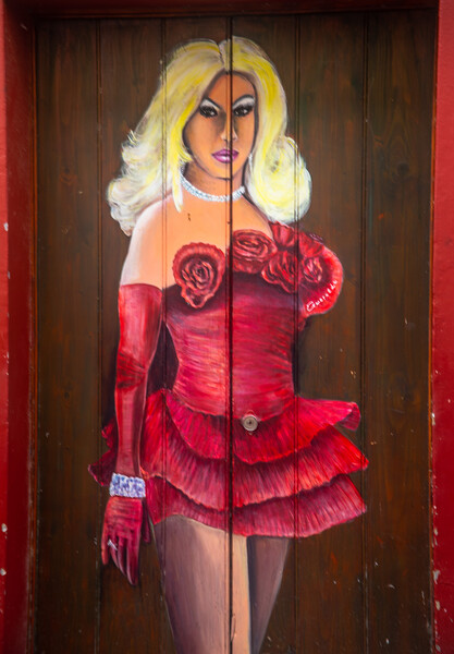Lady in Red Picture Board by Margaret Ryan