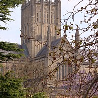 Buy canvas prints of Gothic Wonder of Wells Cathedral by Antony Robinson