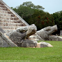 Buy canvas prints of Jaguar carvings at Chichen Itza by Antony Robinson