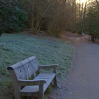 Buy canvas prints of Frosty bench in the park by Antony Robinson